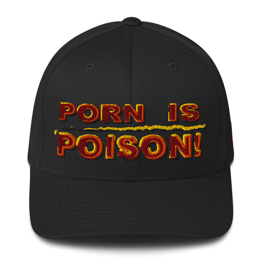 Flex Fit Structured Twill Cap